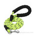 Best Selling Solid EVA Handle Nylon Dog Leash